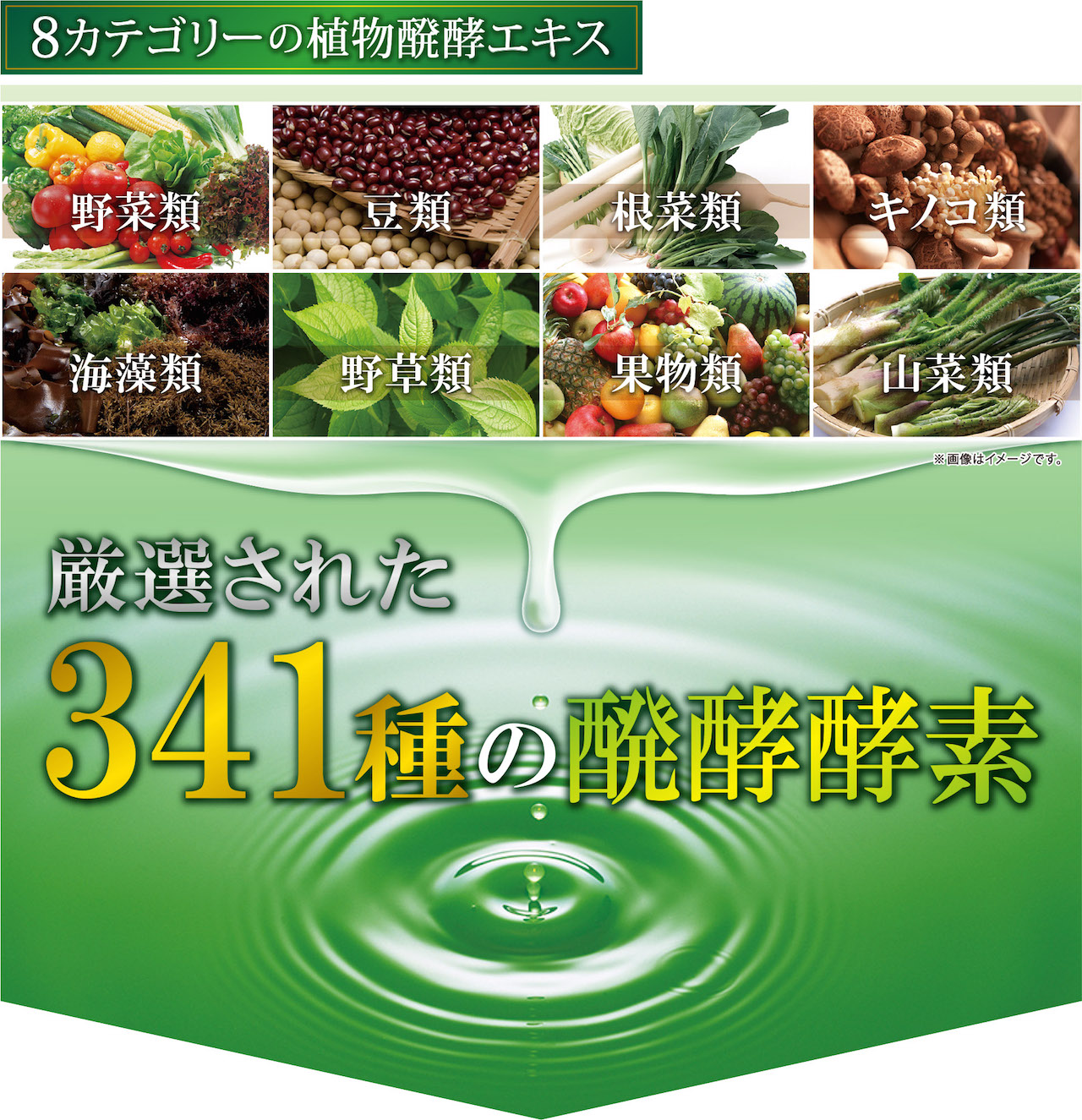 8カテゴリーの植物醗酵エキス　野菜類　豆類　根菜類　キノコ類 海藻類　野草類　果物類　山菜類 厳選された３４１種の醗酵酵素　※画像はイメージです。